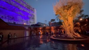 フランスパビリオン 庭園 若さの樹