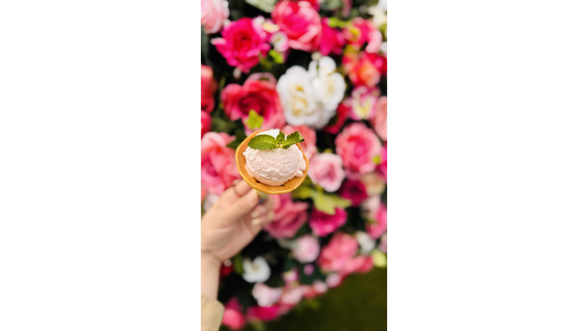 薔薇のアイス