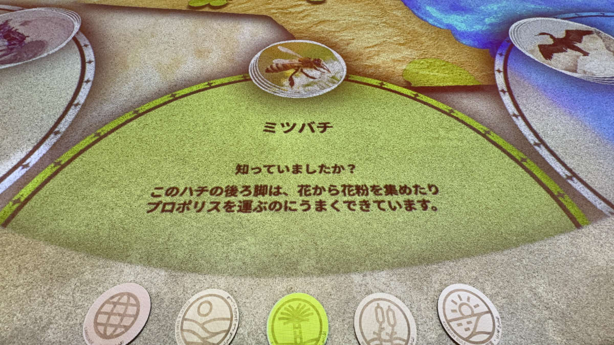 クウェート パビリオン
