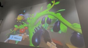 野菜の収穫