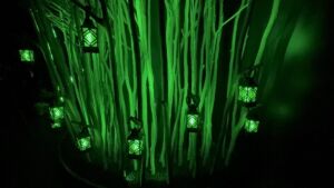 マザーツリー