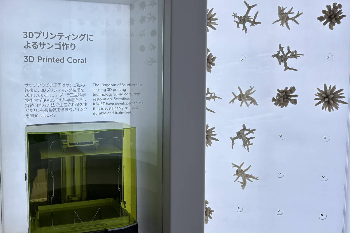 3Dプリンタ 人工サンゴ