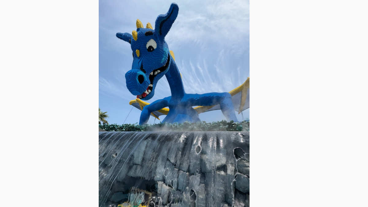 ウォーターメイズ ドラゴン