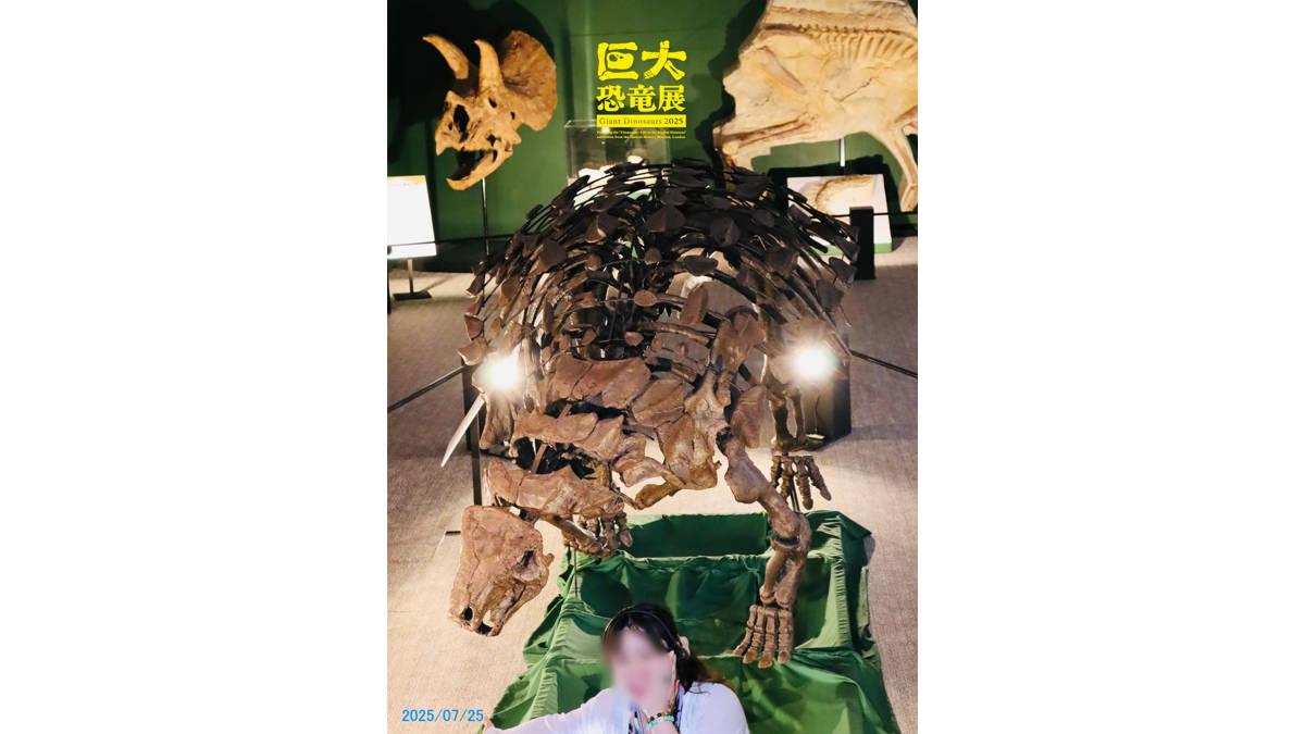 デンバーサウルス