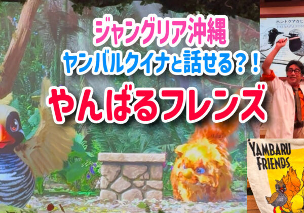 やんばるフレンズ　ジャングリア沖縄