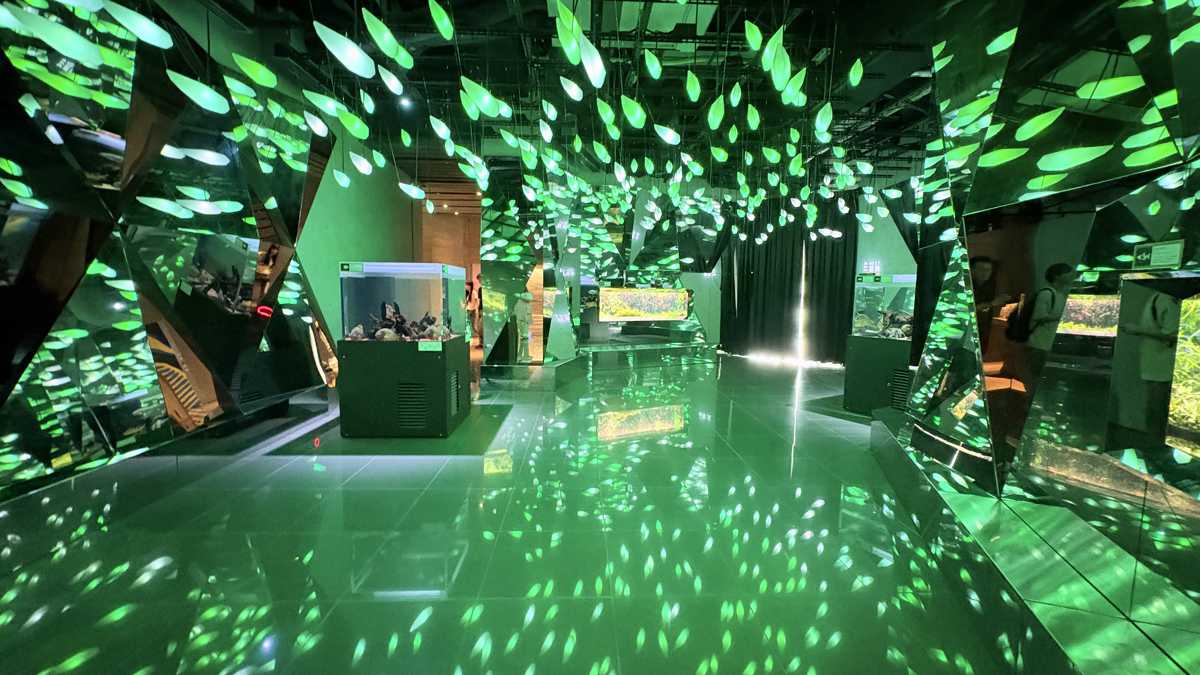 CAVE(はじまりの洞窟)