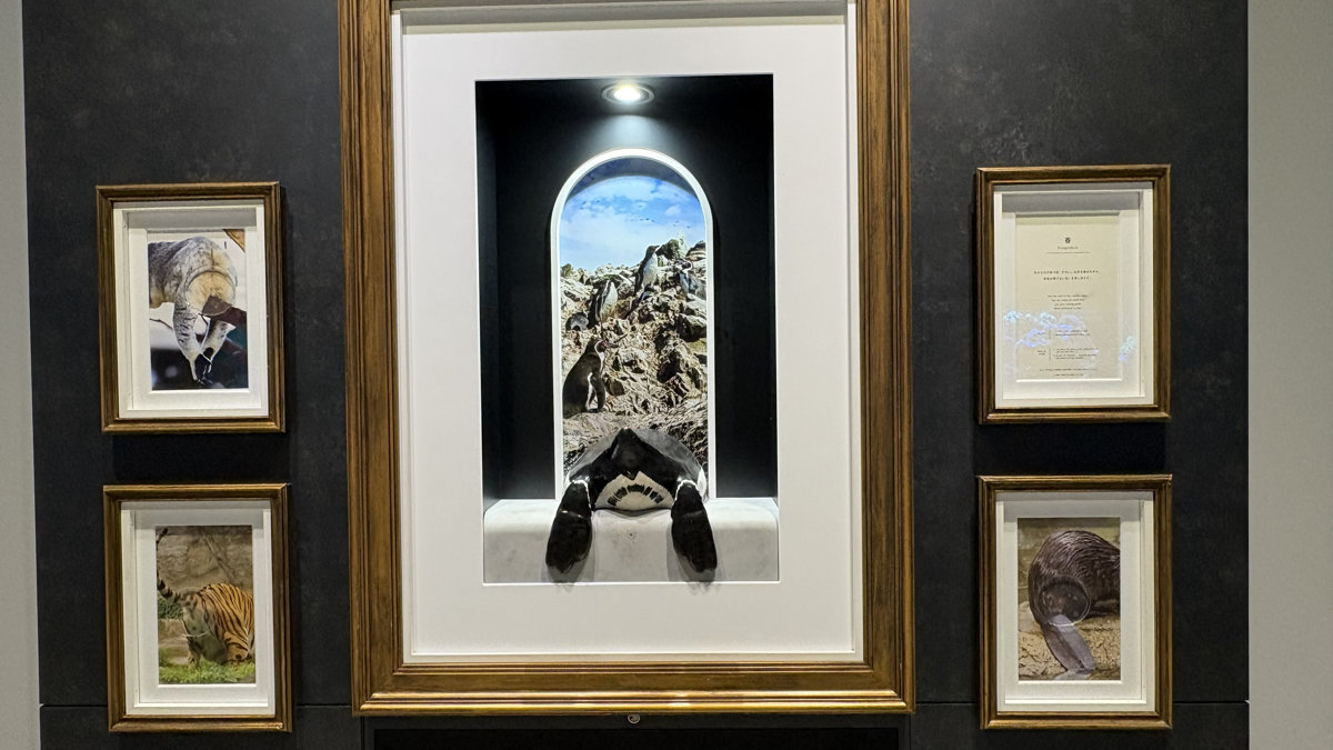 GALLERY(探求の回廊)