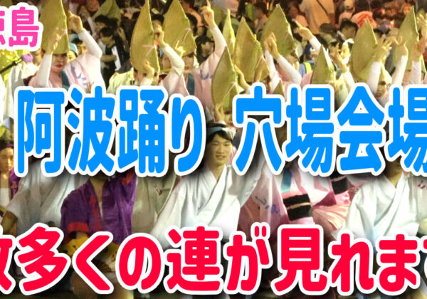 阿波踊り　無料穴場スポット
