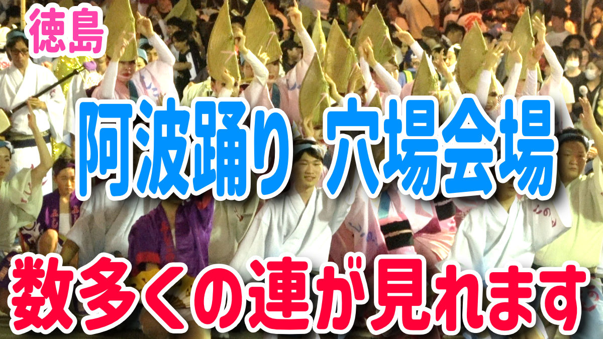 阿波踊り　無料穴場スポット