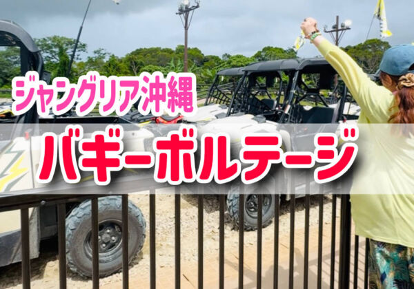 ジャングリア沖縄　バギーボルテージ