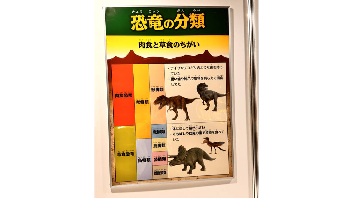恐竜についての紹介パネル