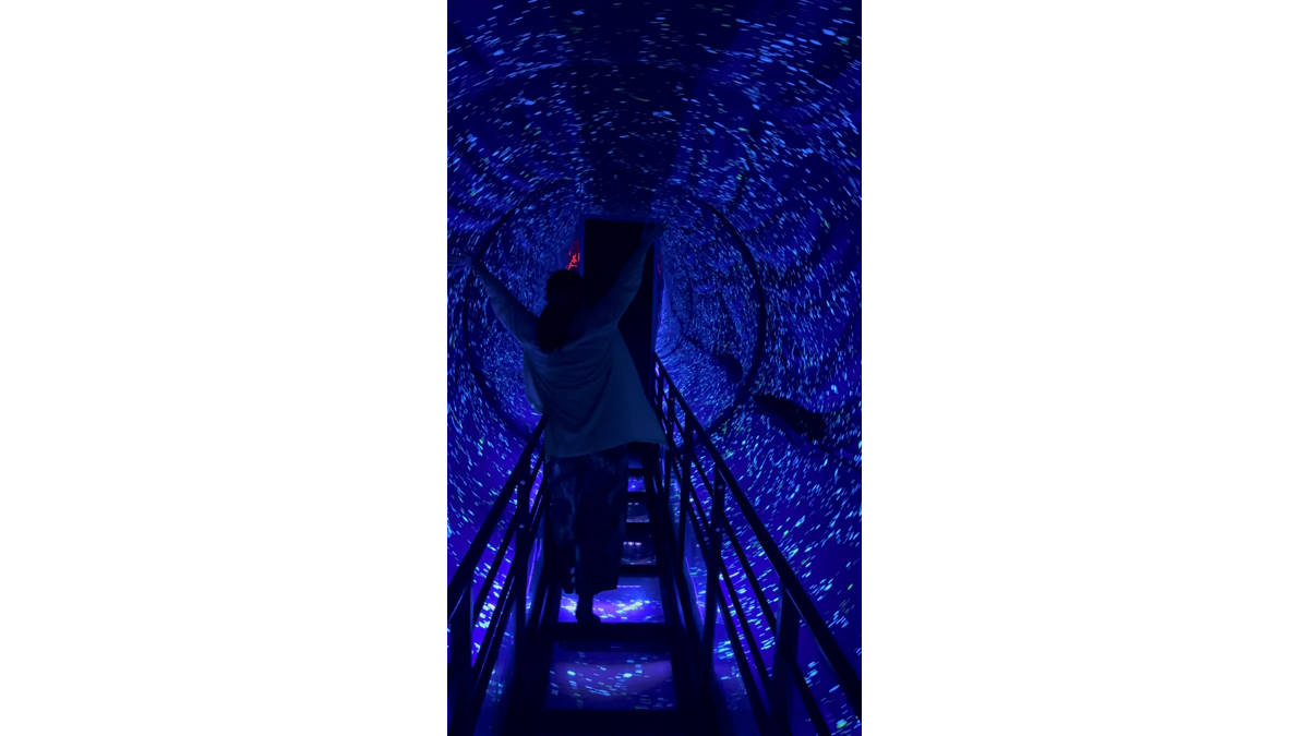 魔法のトンネル