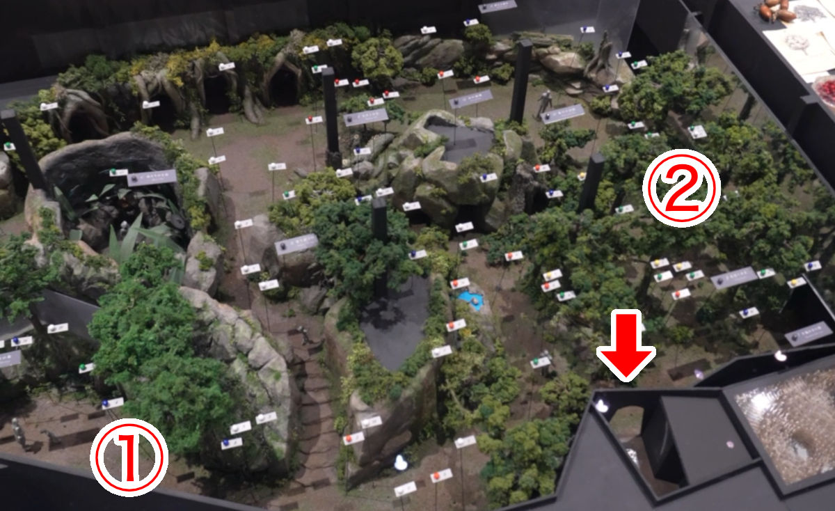 隠し部屋「木漏れ日の園」