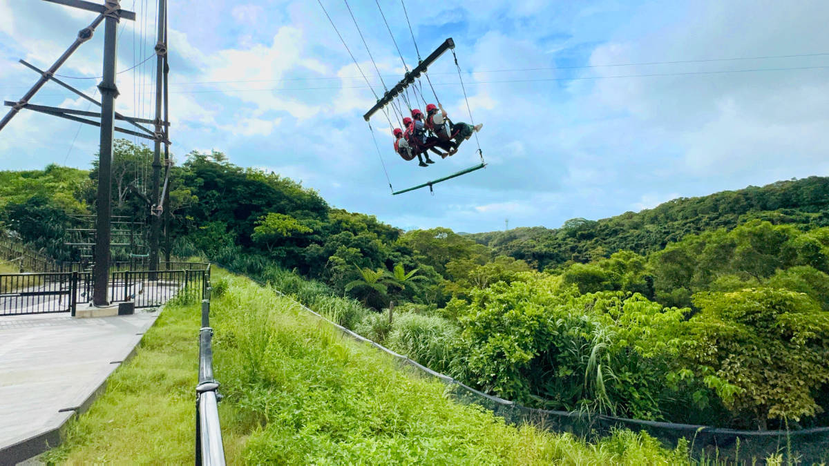 大空へスウィング