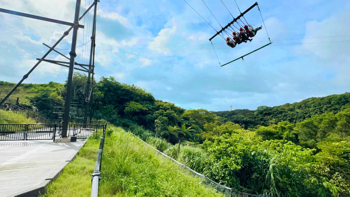 大空へスウィング