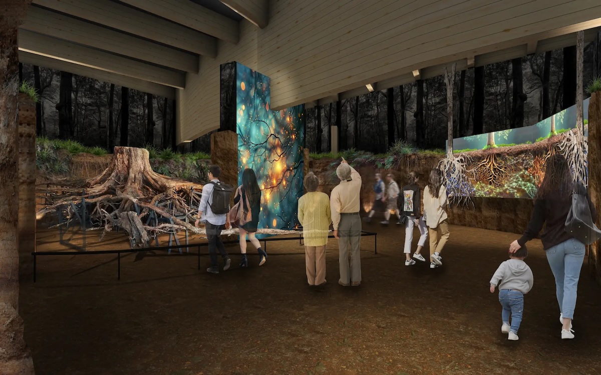 テーマ館　「奇跡の一本松」の根