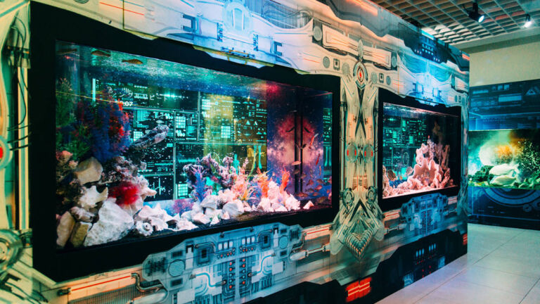 ひらパー　プラネットアクアポート