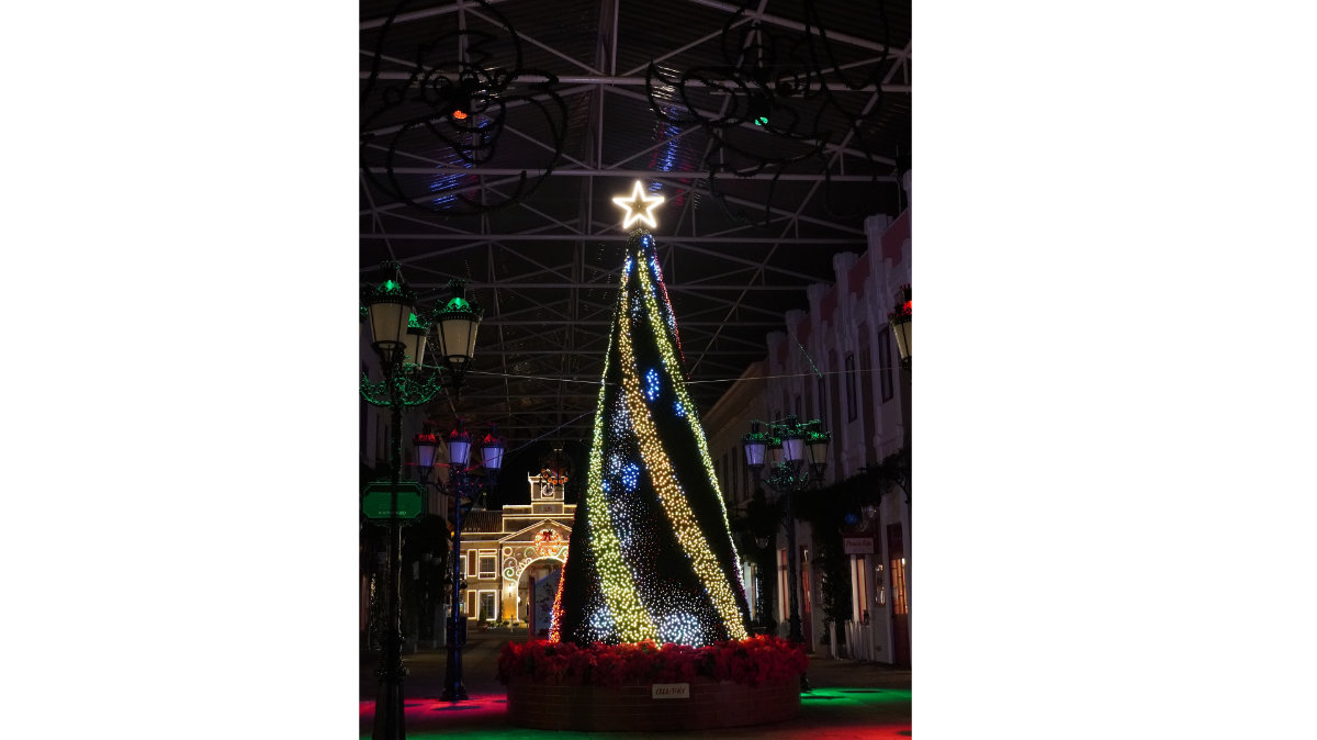 志摩スペイン村 クリスマスツリー