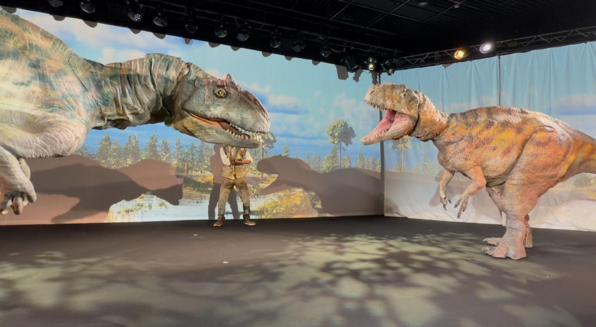 フクイラプトル、アロサウルス