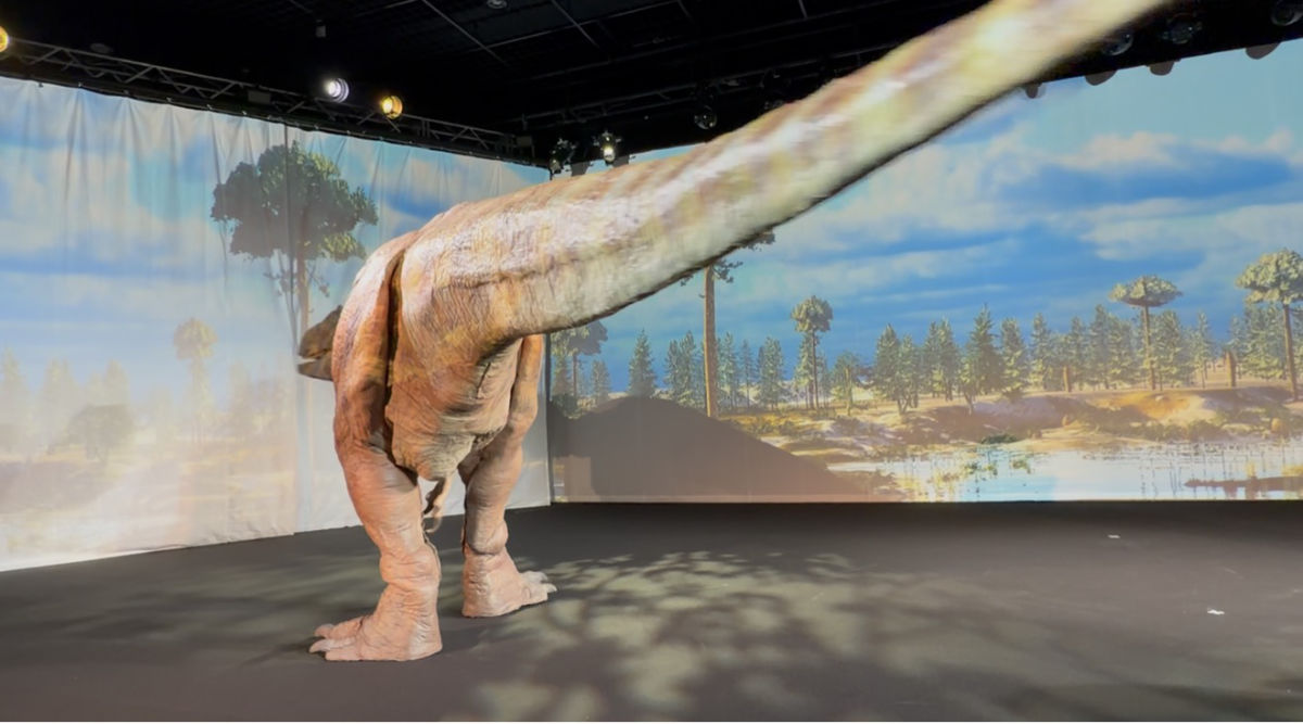 振り回す尻尾から避ける