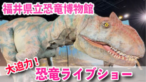福井県立恐竜博物館 DINO-A-LIVE　恐竜ショー