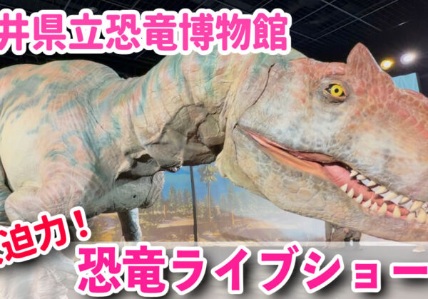 福井県立恐竜博物館 DINO-A-LIVE　恐竜ショー