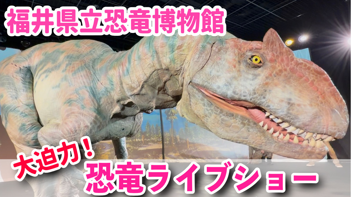 福井県立恐竜博物館 DINO-A-LIVE　恐竜ショー