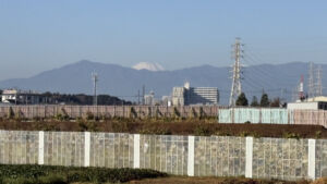 富士山