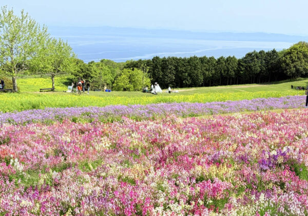 淡路島観光・四国観光