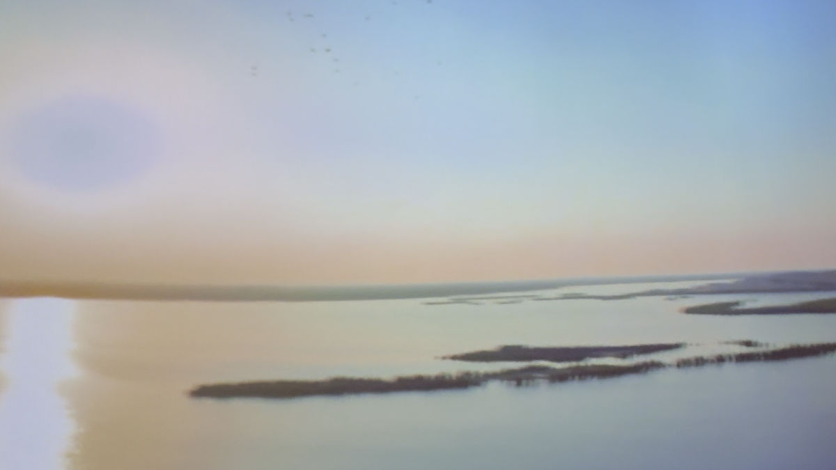 アル・アハサ オアシス