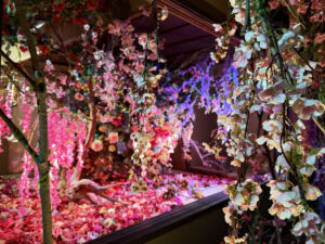 KYOTO NIPPON FESTIVAL 2026 ー時をこえ、華ひらく庭ー