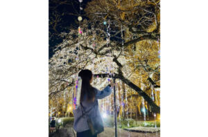 雪月花の三庭苑・梅苑「花の庭」《光と花の庭》