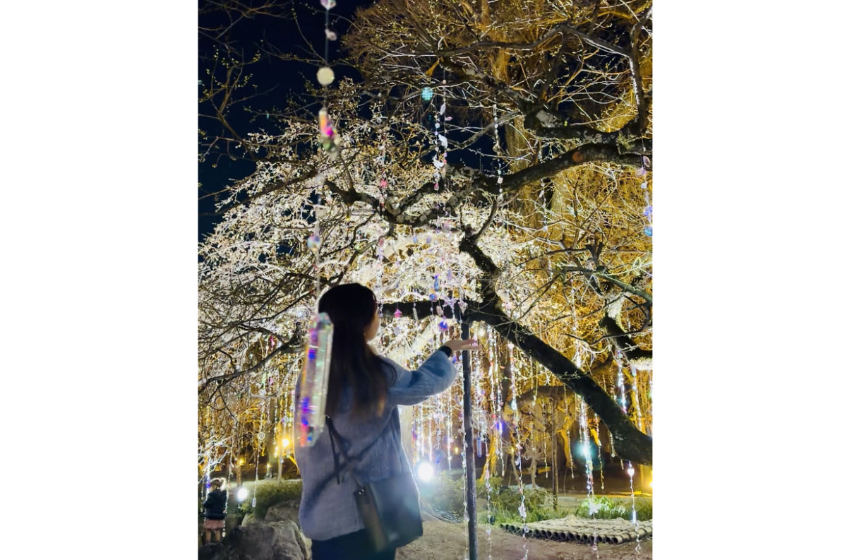 雪月花の三庭苑・梅苑「花の庭」《光と花の庭》