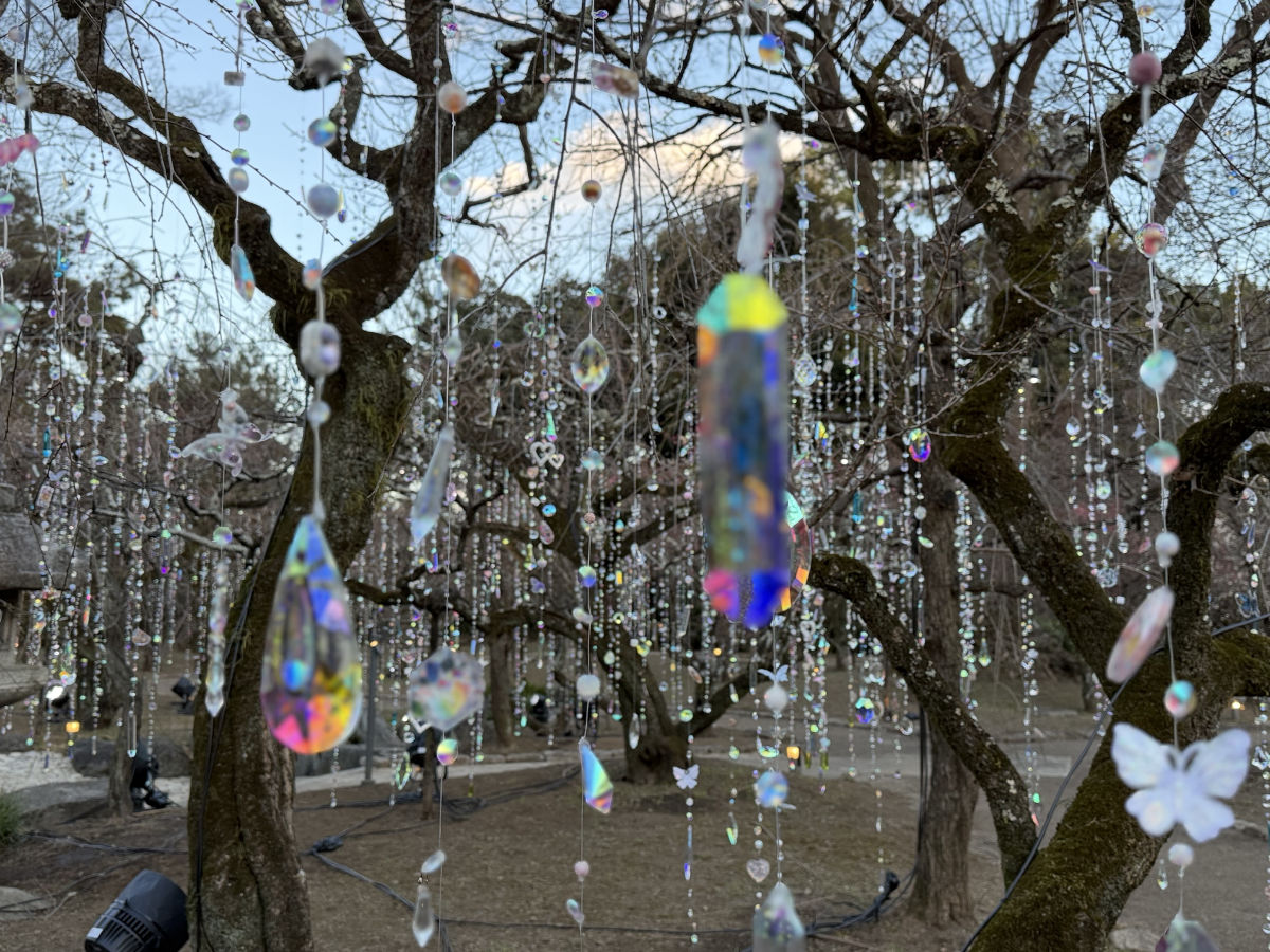 雪月花の三庭苑・梅苑「花の庭」《光と花の庭》