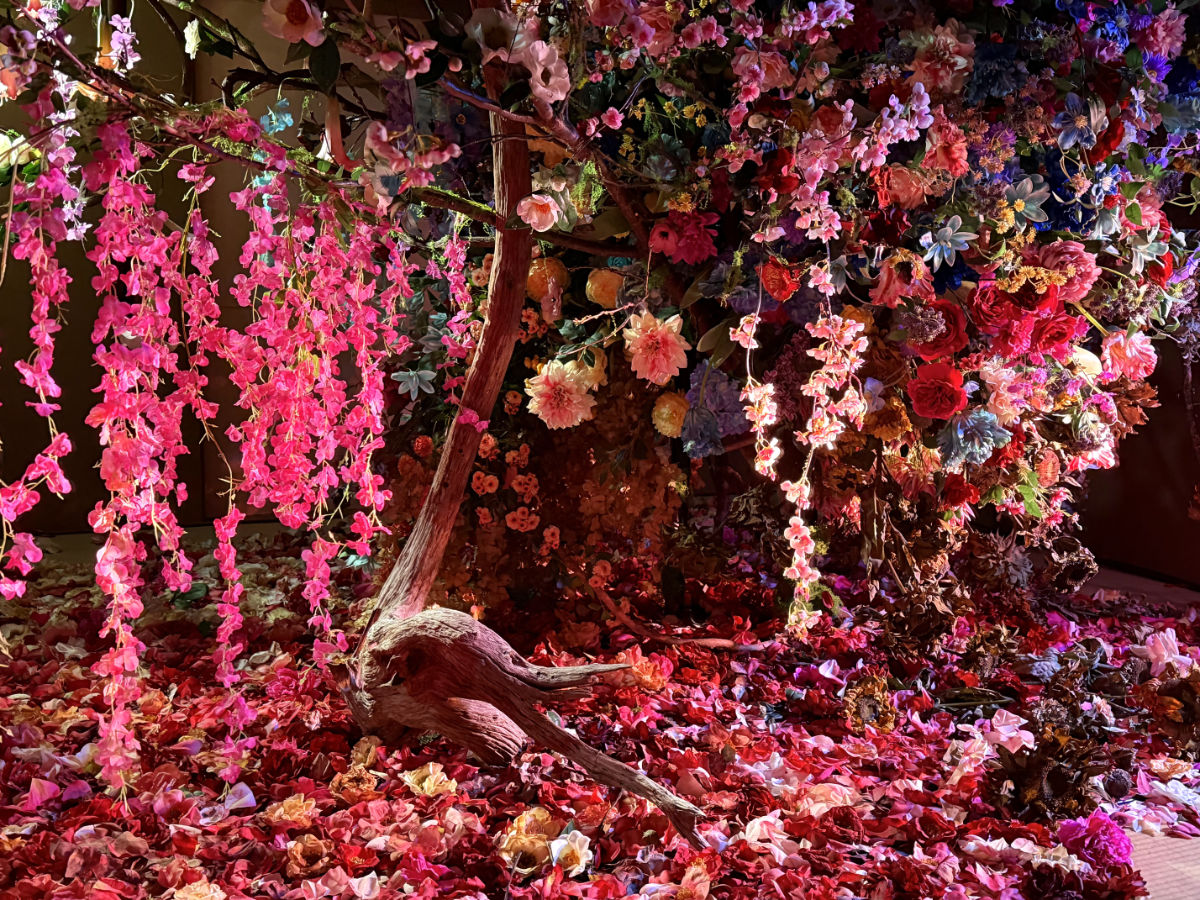 御土居　梅交軒 《残照》