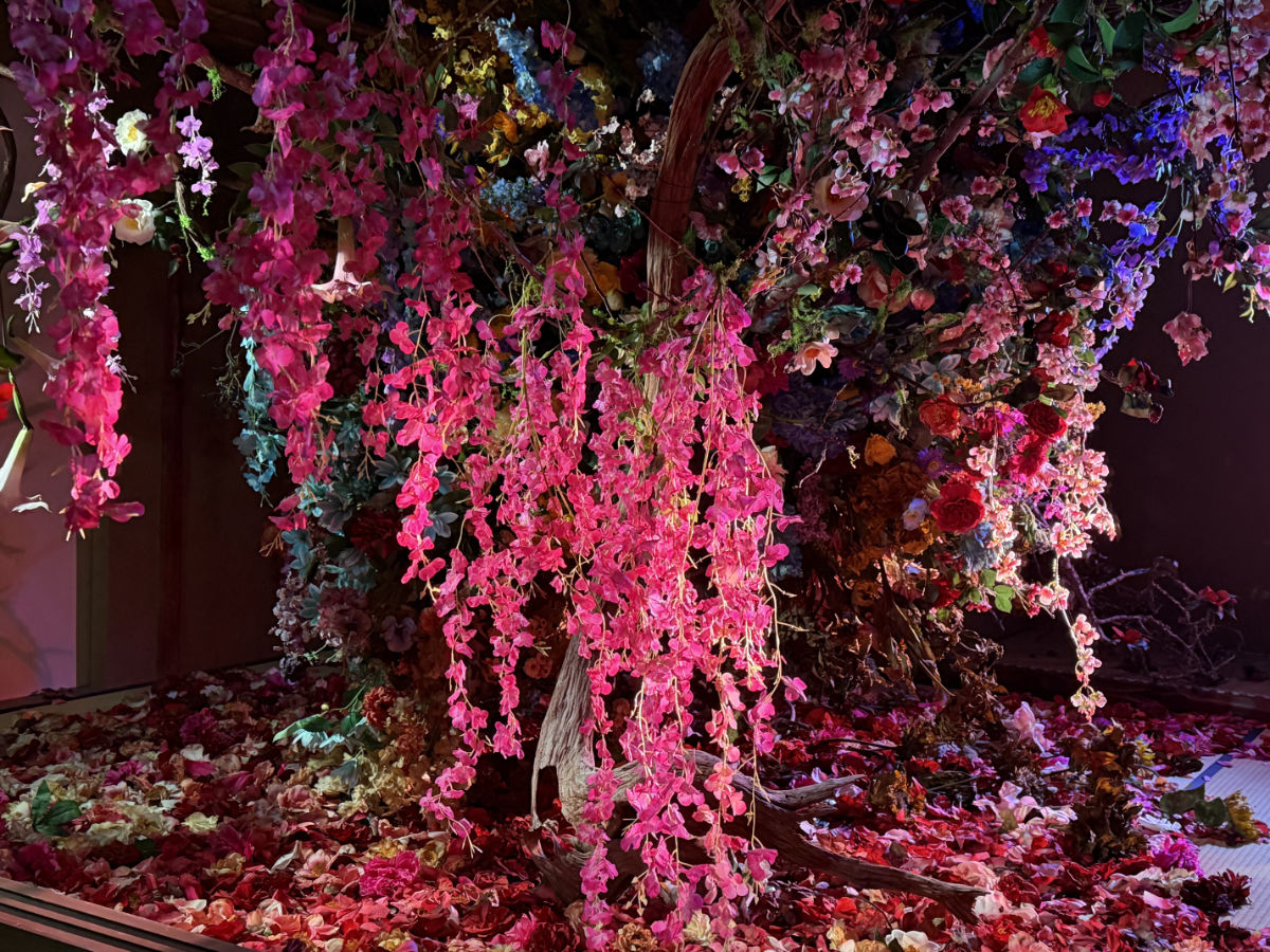 御土居　梅交軒 《残照》