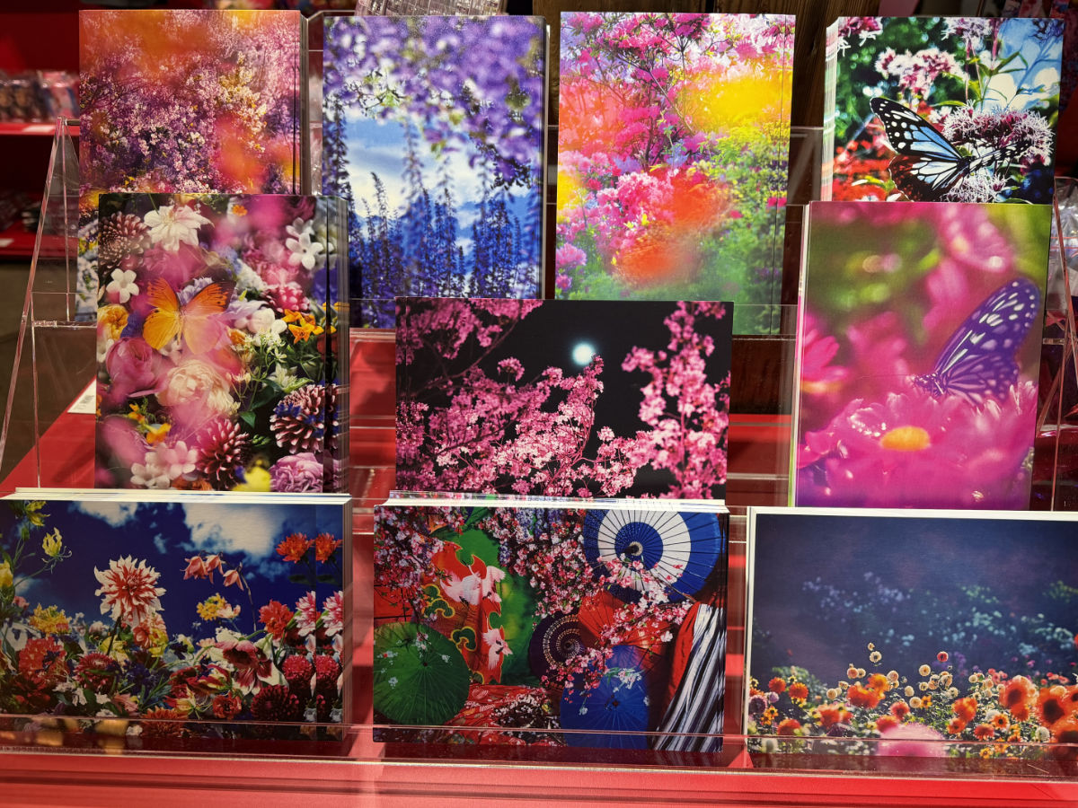 KYOTO NIPPON FESTIVAL 2026 ポストカード