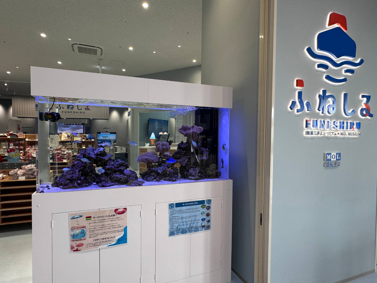 ふねしる コモンズA モーリシャス 水槽