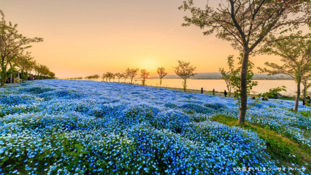 舞洲シーサイドパーク