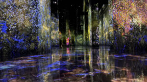 チームラボ バイオヴォルテックス京都