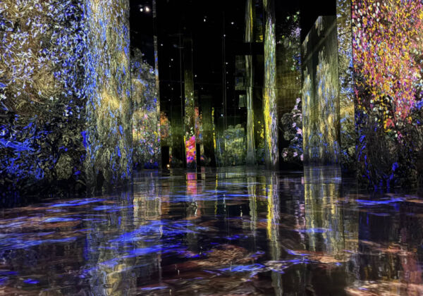 チームラボ バイオヴォルテックス京都