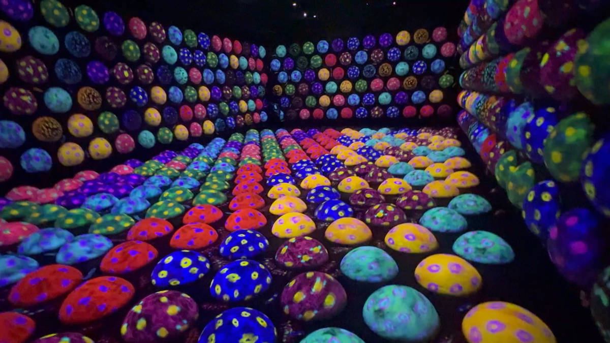 チームラボ京都 体を動かして楽しむエリア