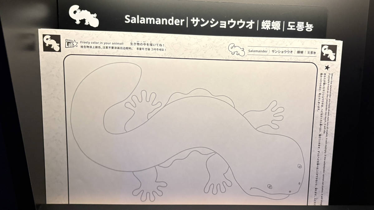 イラストを書く紙