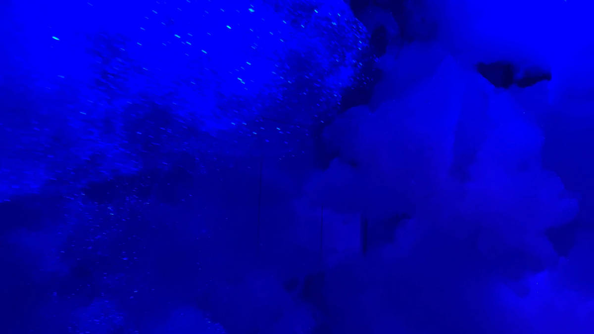 チームラボ京都 泡の部屋