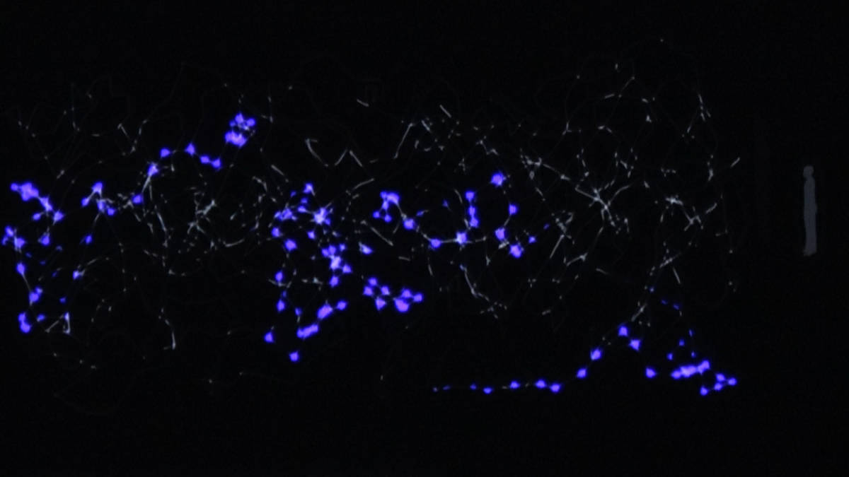 ランタンが光る原理の解説 チームラボ京都