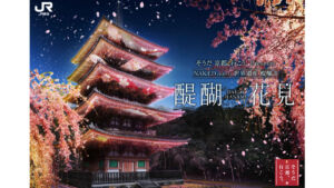 醍醐寺　夜桜ライトアップ2026
