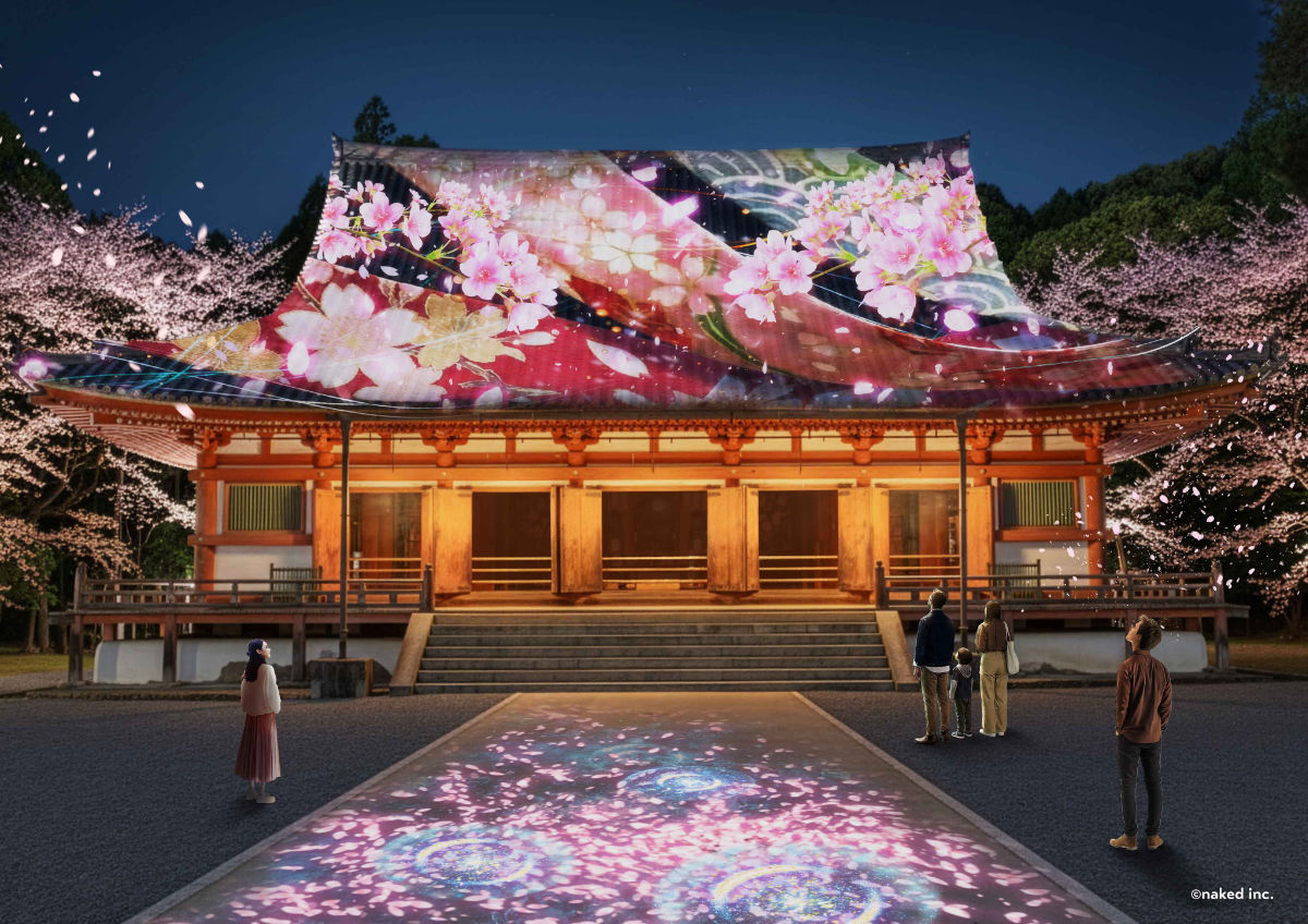 醍醐寺　夜桜ライトアップ2026