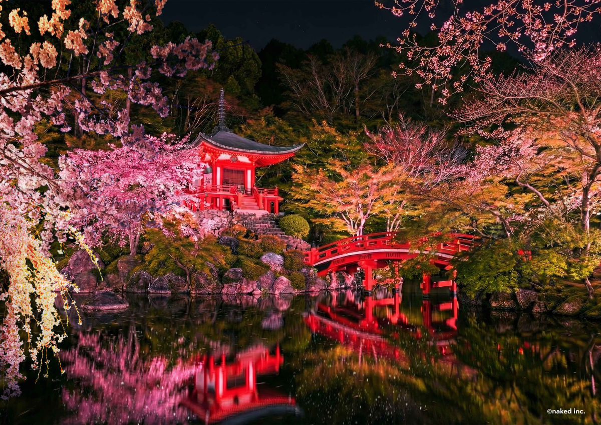 醍醐寺　夜桜ライトアップ2026