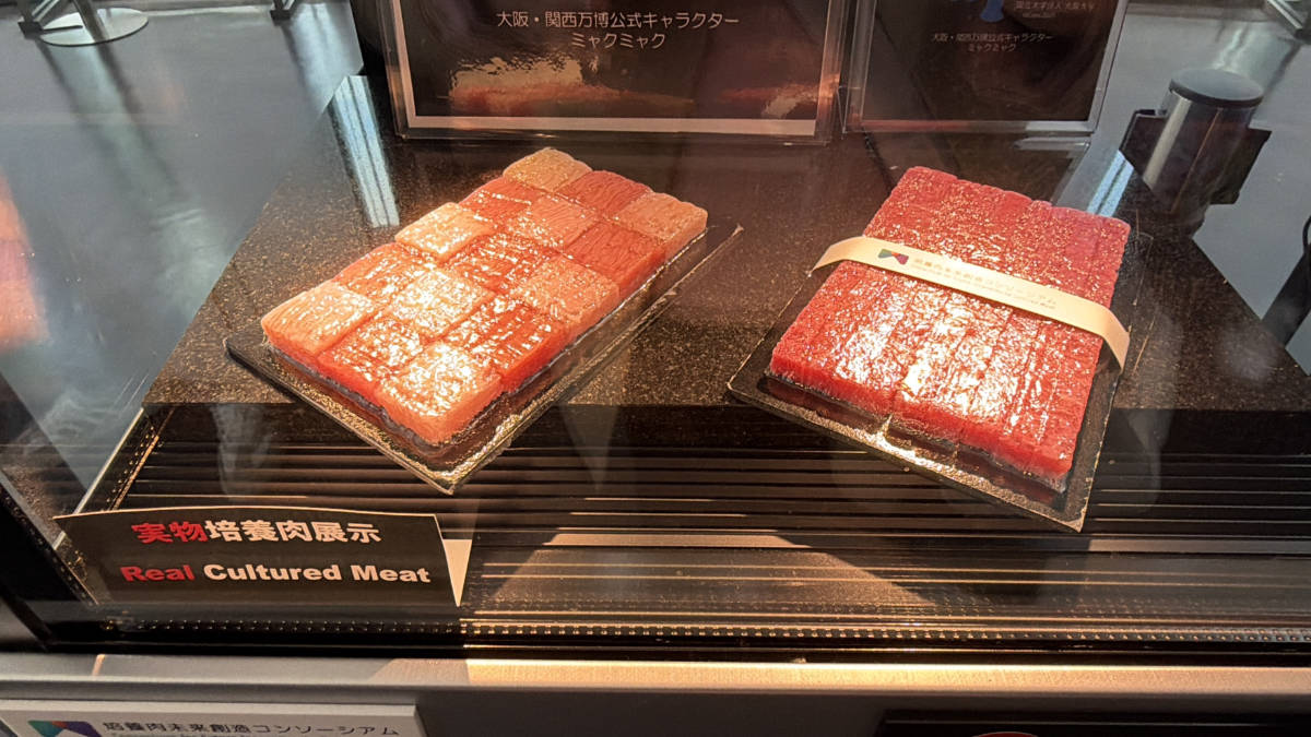 みゃくみゃくとつなぐ展