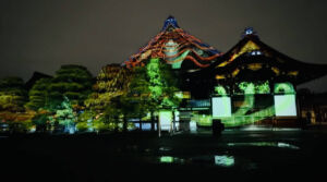 二条城 2026 SAKURA NIGHTS
